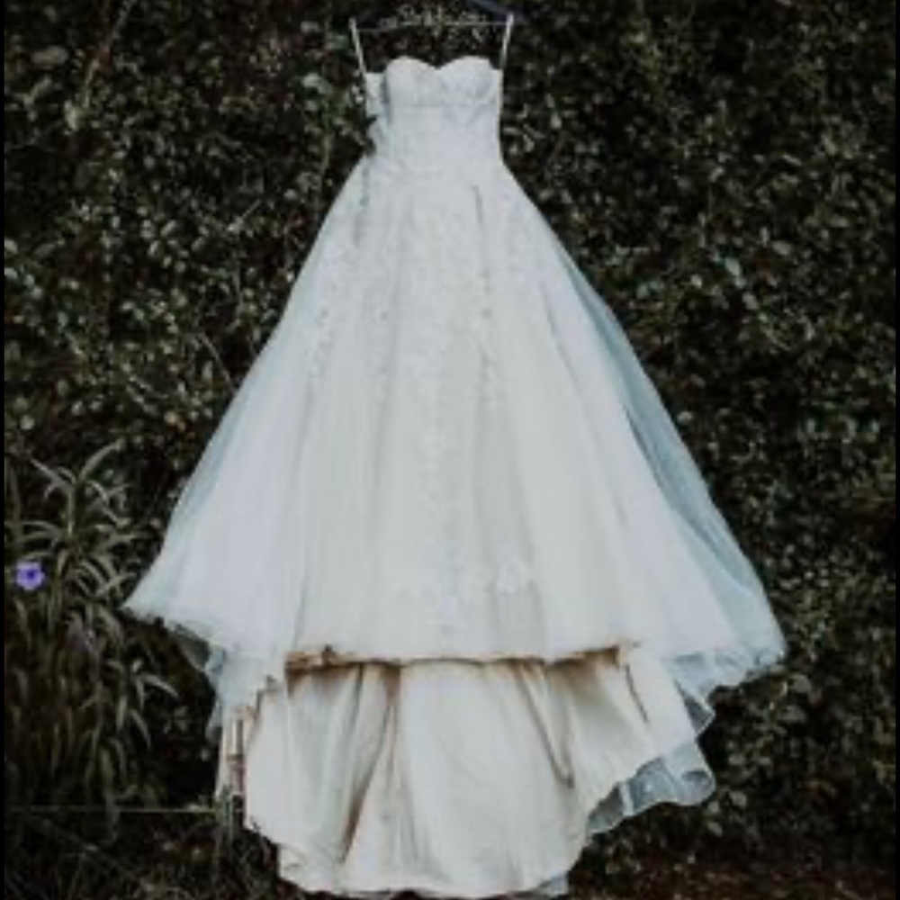 Sheer Lace/Tulle Wedding Dress